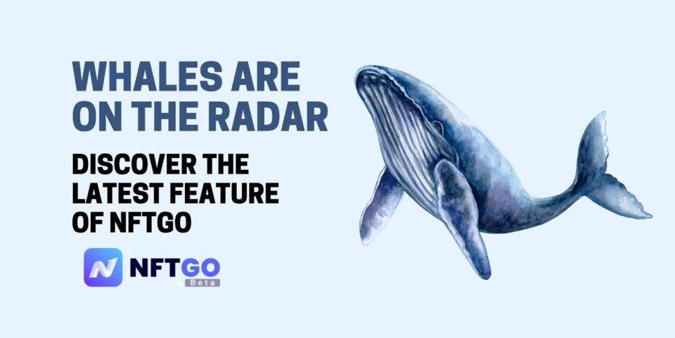 手把手教你如何用 NFTGO 新功能追踪 NFT 巨鲸？