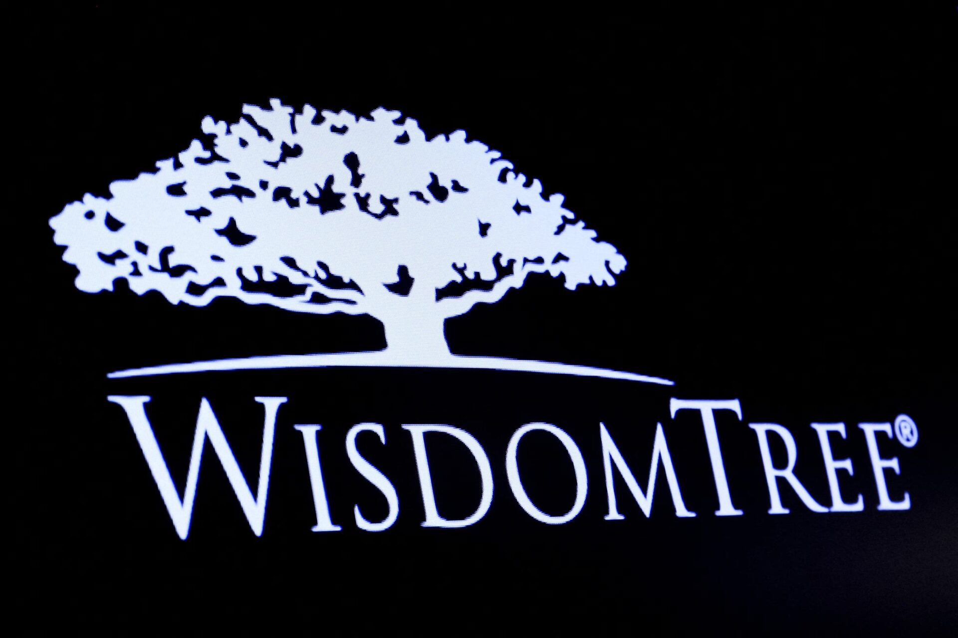 在德拉瓦州注册信托实体，WisdomTree 筹备推出「瑞波币现货 ETF」