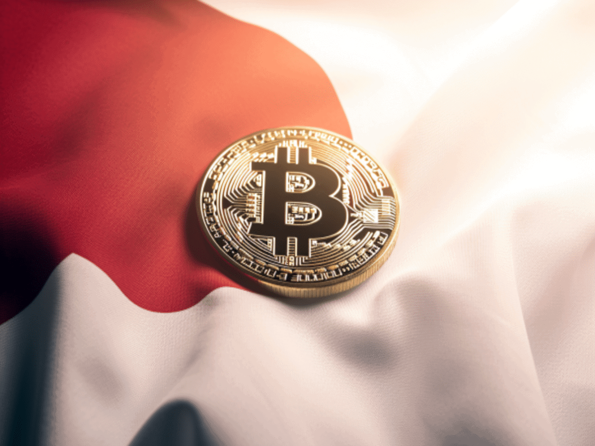 日本政府对比特币储备保持谨慎，担忧其波动性