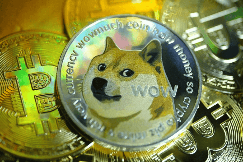 狗狗币期货火爆刷新纪录！分析师看好 DOGE 今年挑战 1 美元大关