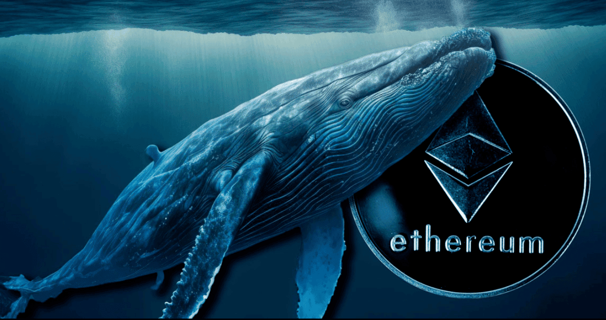 「ICO 时期巨鲸」唤醒 6 千枚以太币！半数流入 Kraken 疑似套现