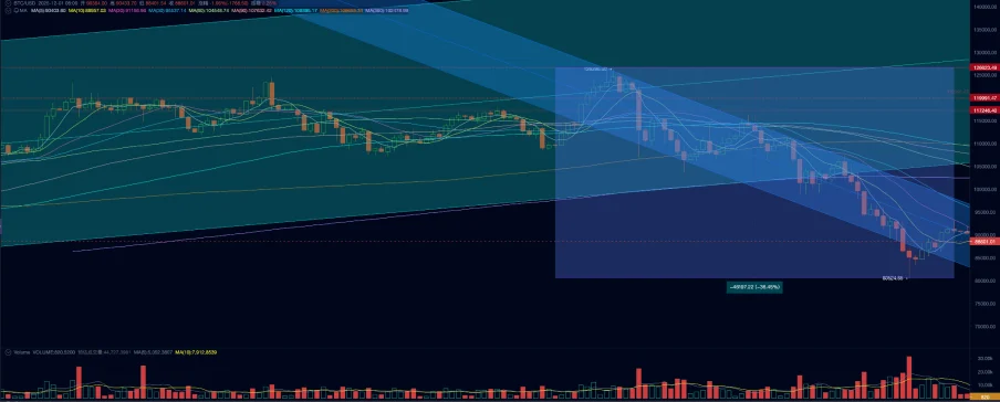 再定价 + 大换手：比特币 11 月大跌的逻辑与后市展望