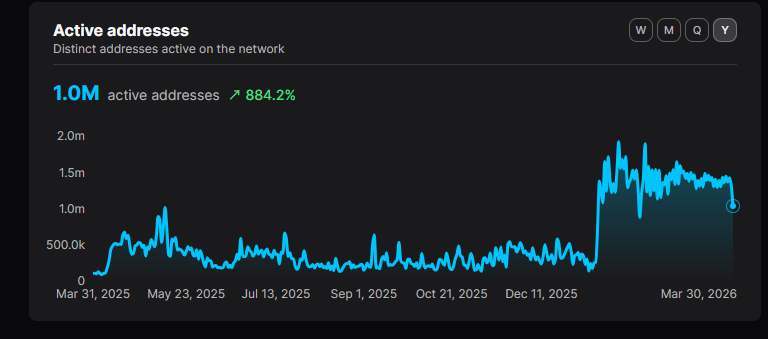 88% 竞争币跑输大盘！熊市残酷成绩单揭示「5 大关键讯号」