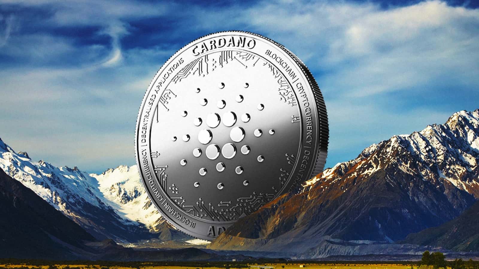 越跌越买！Cardano「巨鲸」默默扫货，掌控 67% 流通量创近 4 年新高