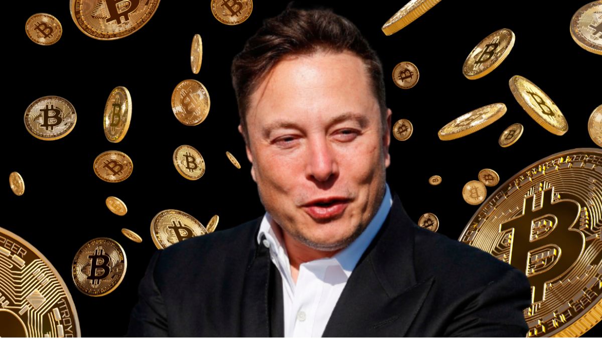 SpaceX 公开 IPO 招股书！首揭比特币持有量 18,712 枚，价值 14.5 亿美元