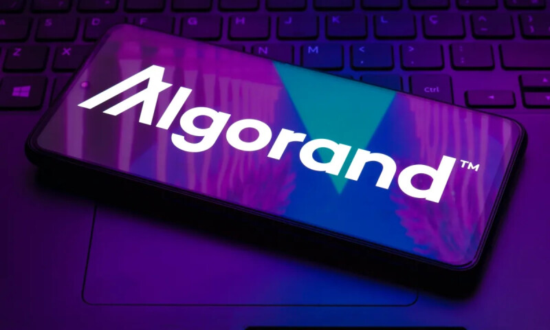 Algorand 公布「抗量子路线图」，力拚 2027 年全面大升级