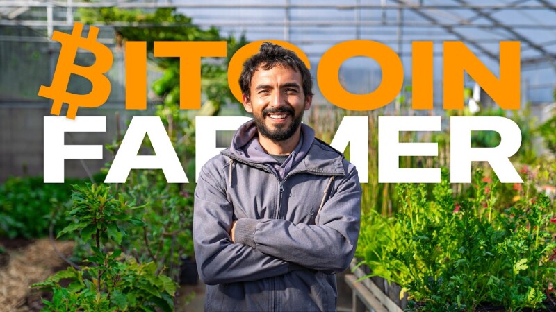 比特币挖矿也能种出有机香草！葡萄牙农场用矿机废热「供暖又赚币」