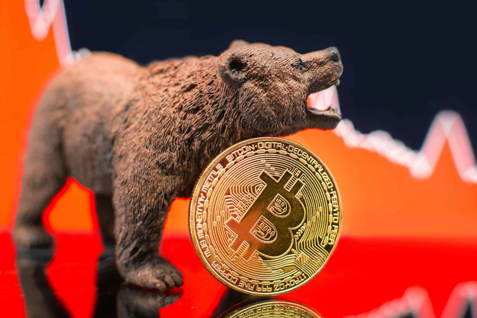别被 AI 狂潮骗下车！Bitwise：熊市结构已变、比特币底部持续垫高