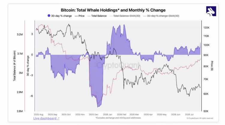 熊市进入最后阶段？CryptoQuant：比特币、以太币、 XRP 巨鲸持续吸筹