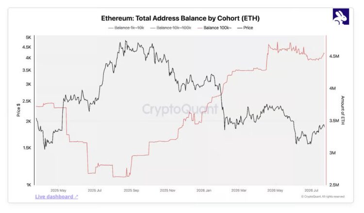 熊市进入最后阶段？CryptoQuant：比特币、以太币、 XRP 巨鲸持续吸筹