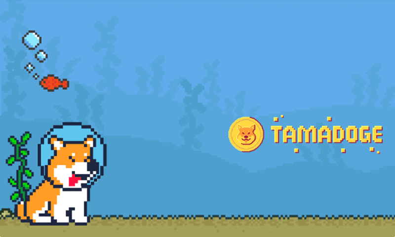 顶级加密游戏诞生！Tamadoge携手新加密币，开启NFT游戏新时代