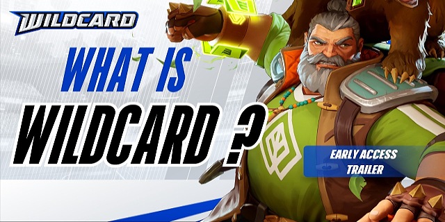 Web3 game Wildcard – 竞技战斗竞技场Season 1