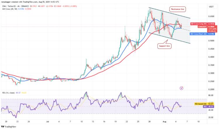 ENA 技术分析