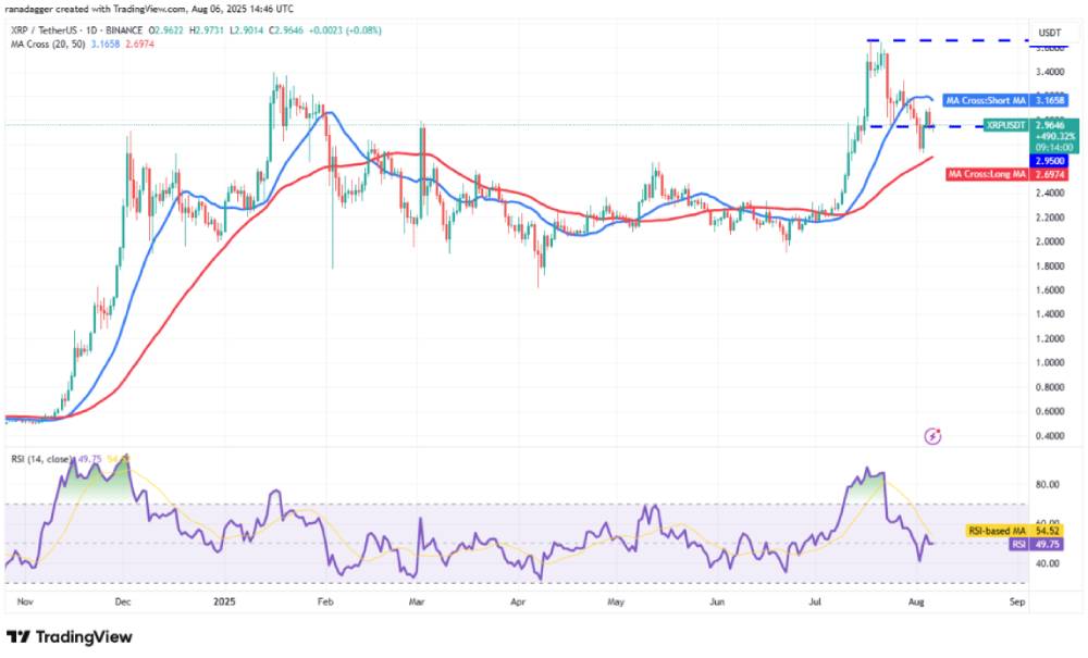 XRP 技术分析