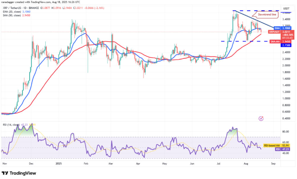 XRP 技术分析