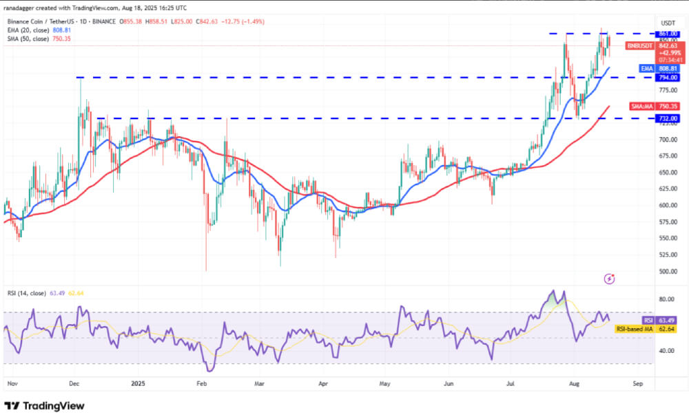 BNB 技术分析