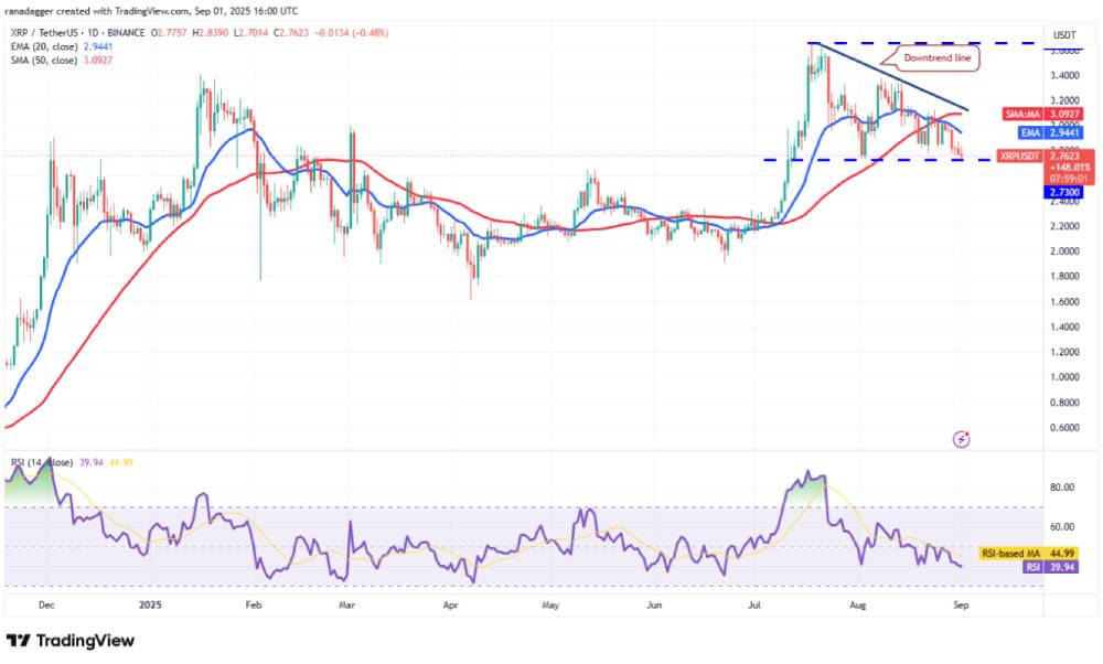 XRP 技术分析