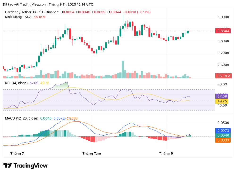 Cardano (ADA)：迈向可扩展性与安全性
