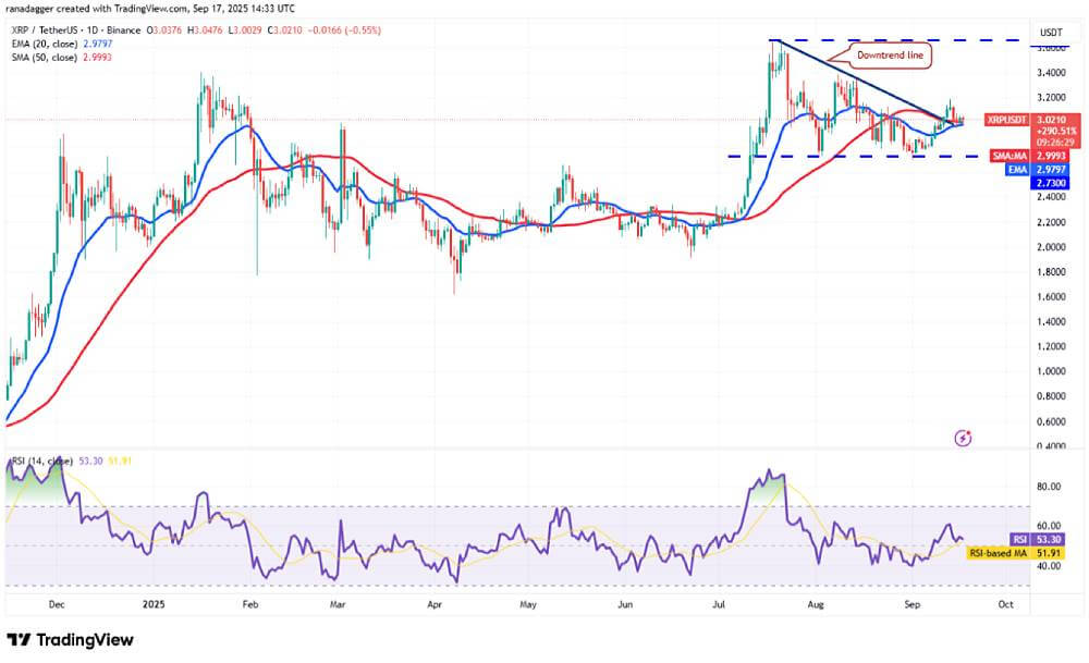 XRP 技术分析