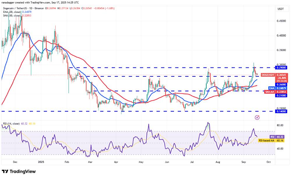 DOGE 技术分析