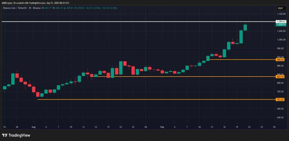 影响 BNB 价格预测 的关键指标：解读创纪录的未平仓合约