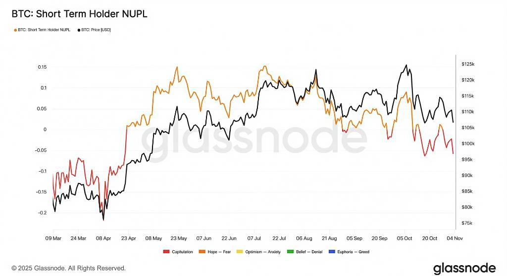 抛压来源:长期持有者与恐慌的短期交易者