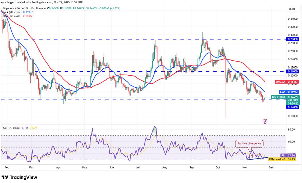 狗狗币 (DOGE):RSI背离带来的反弹希望