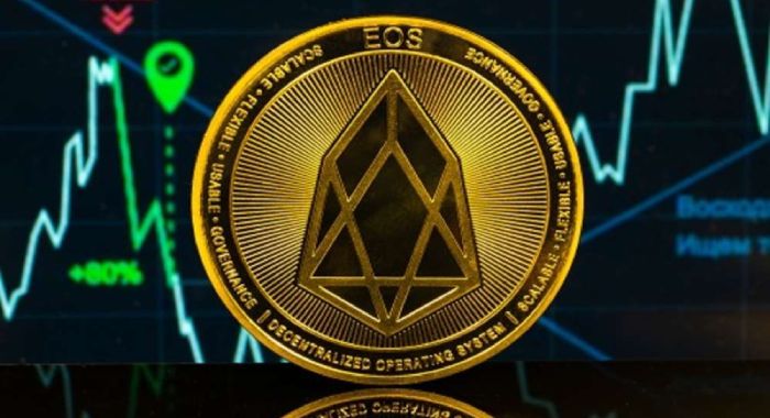 EOS价格波动分析，EOS下跌10%，重品牌转型与市场情绪的双重影响
