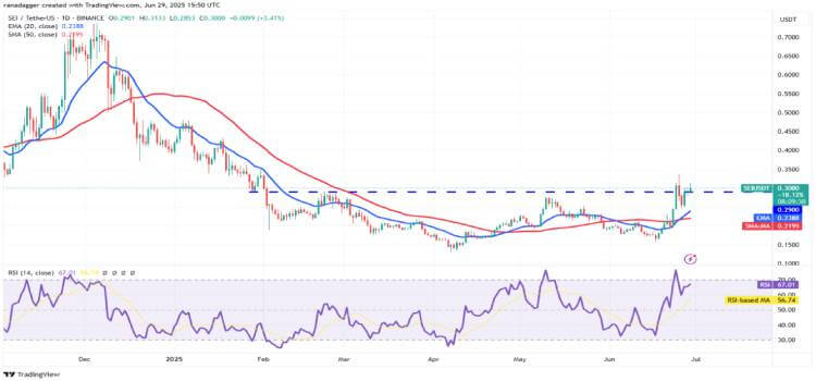 SEI 技术分析：突破后的回踩确认