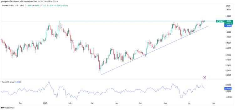 技术形态分析与 SPX6900 价格预测