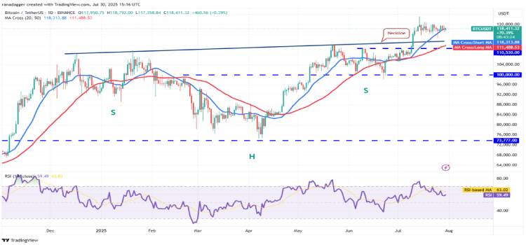 BTC 技术分析