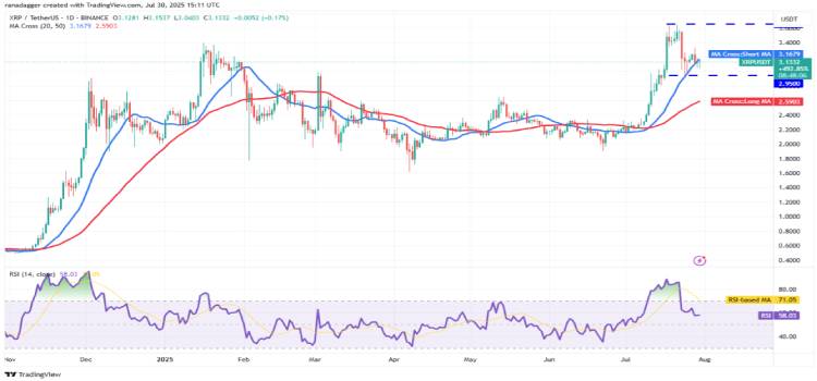 XRP 技术分析