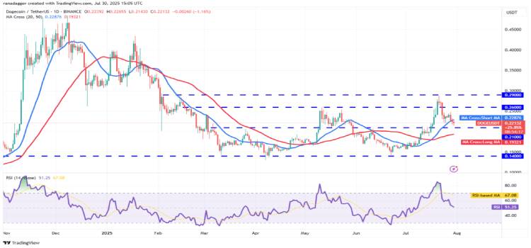 DOGE 技术分析