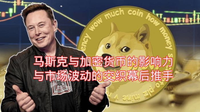 马斯克与加密货币的影响力与市场波动的交织幕后推手
